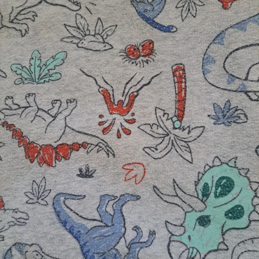 Jumping Beans Dinosaur Sweatshirt + Simple Joys by Carter’s Gray Pants Set (3T)